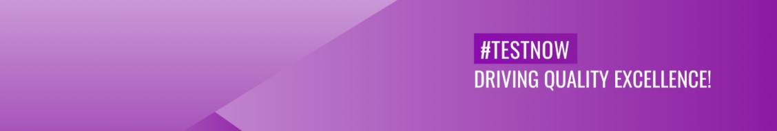 Bugraptors - Software testing company